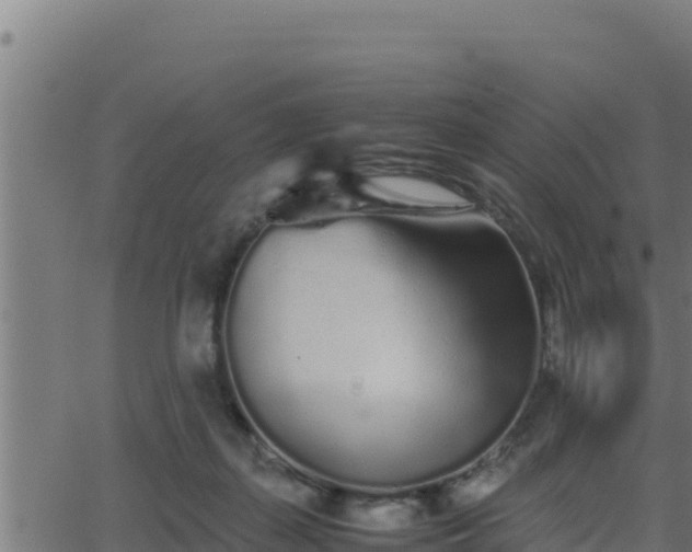 X0000062880267200601171455