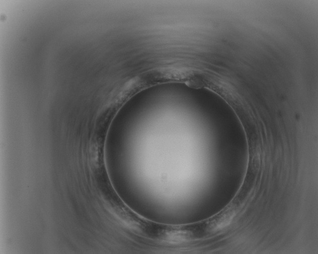 X0000062880268200601171455