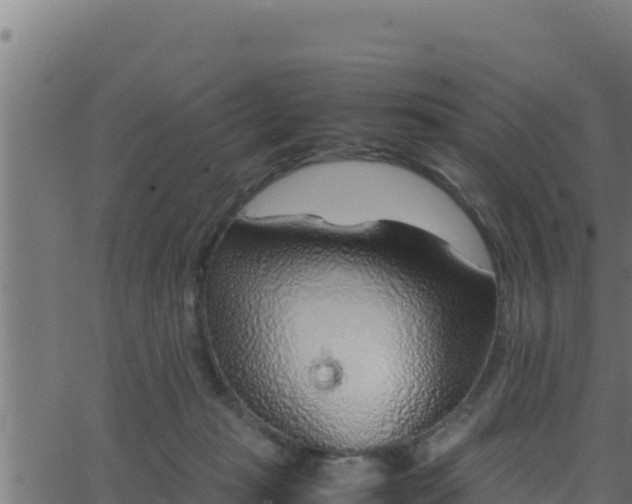 X0000062880269200601171455