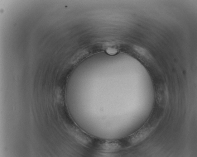 X0000062880270200601171455