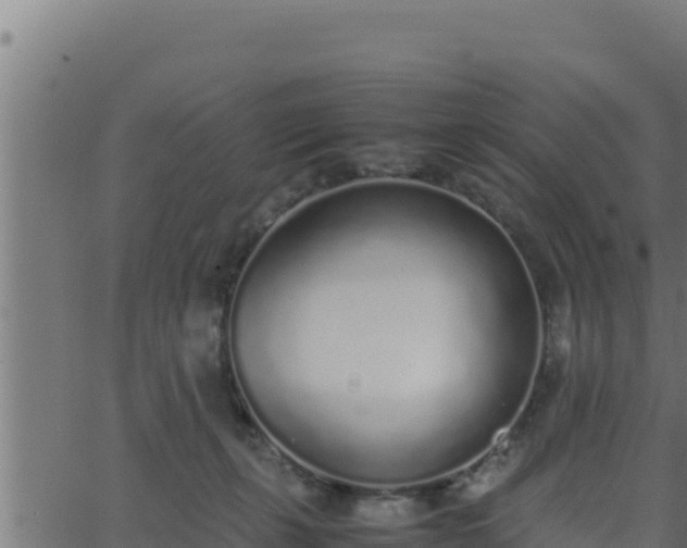 X0000062880271200601171455