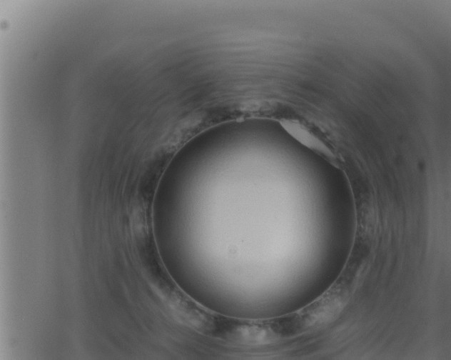 X0000062880272200601171455