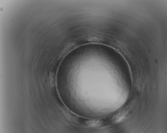 X0000062880273200601171455