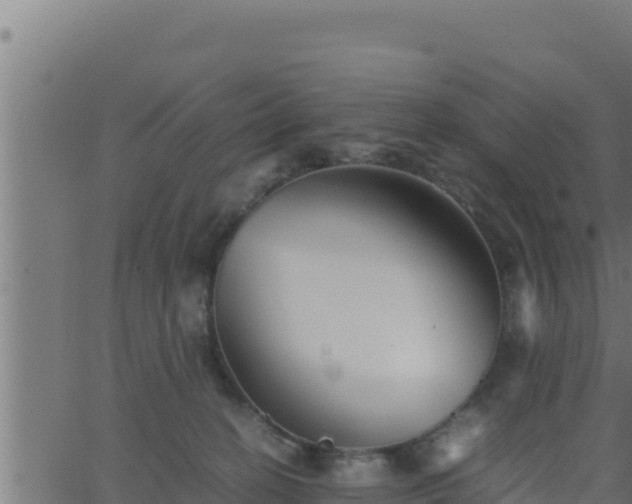 X0000062880274200601171455