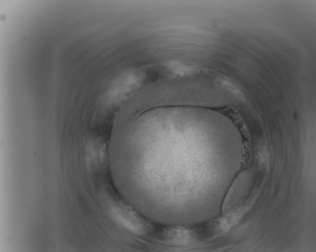 X0000062880276200601171455