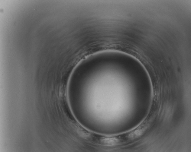 X0000062880277200601171455