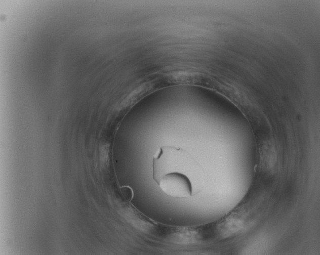 X0000062880278200601171455