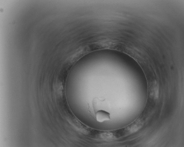 X0000062880279200601171455