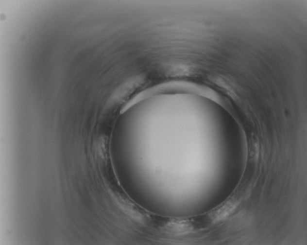 X0000062880280200601171455