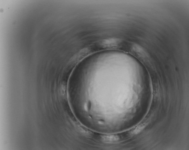 X0000062880281200601171455