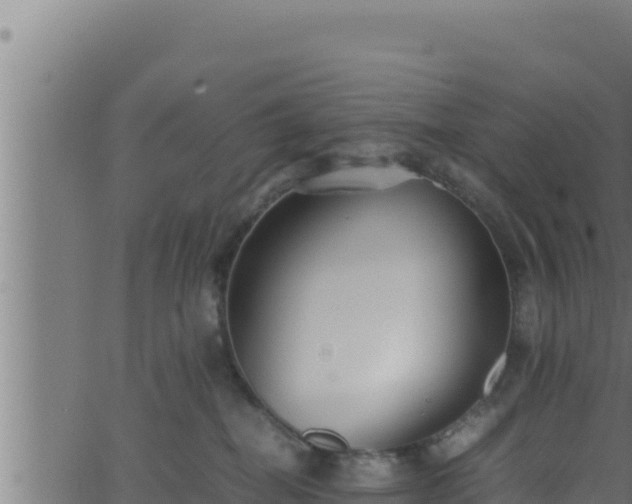 X0000062880282200601171455