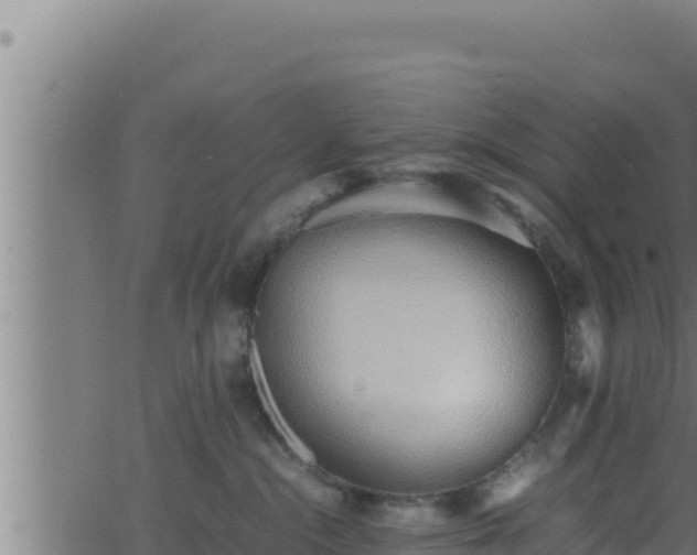 X0000062880284200601171455