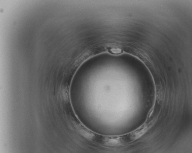 X0000062880285200601171455