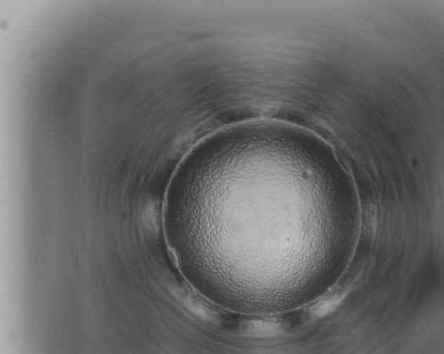 X0000062880286200601171455