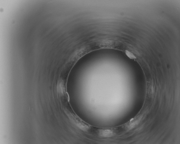 X0000062880287200601171455