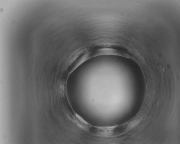 X0000062880288200601171455