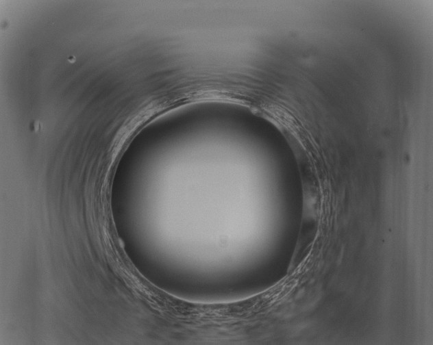 X0000062880289200601171455