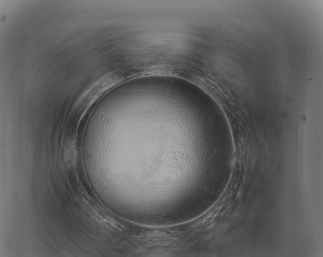 X0000062880290200601171455