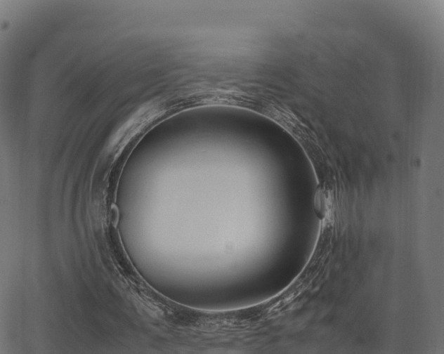 X0000062880291200601171455