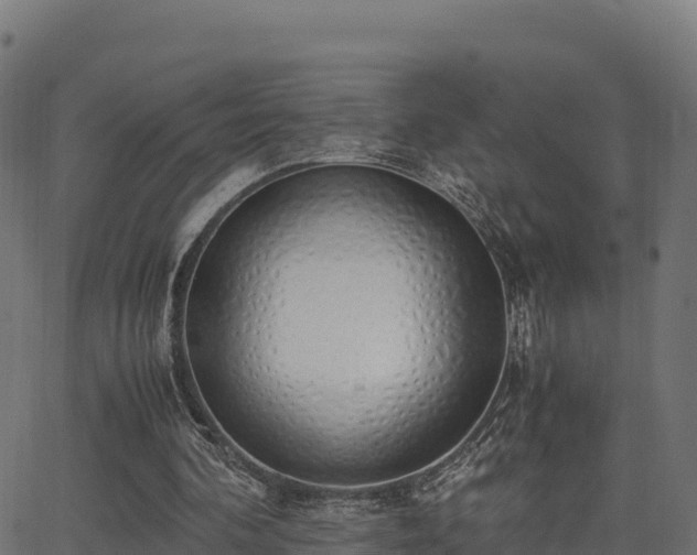 X0000062880292200601171455