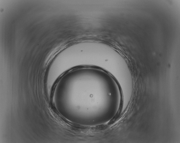 X0000062880293200601171454