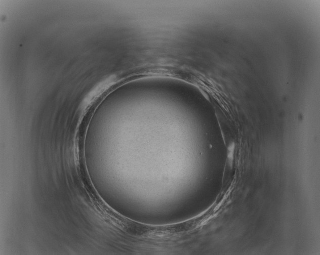 X0000062880294200601171454