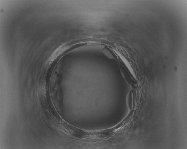 X0000062880295200601171454