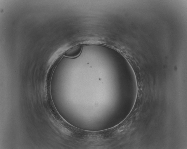 X0000062880296200601171454