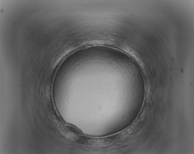 X0000062880297200601171454