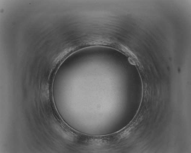 X0000062880298200601171454