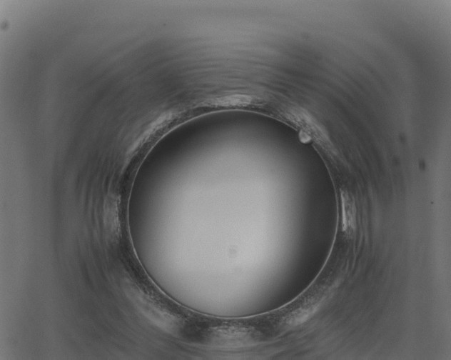 X0000062880300200601171454