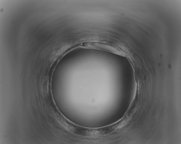 X0000062880301200601171454