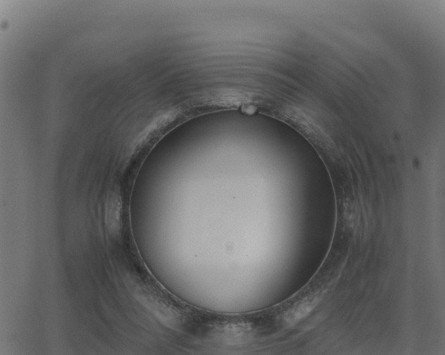 X0000062880304200601171454