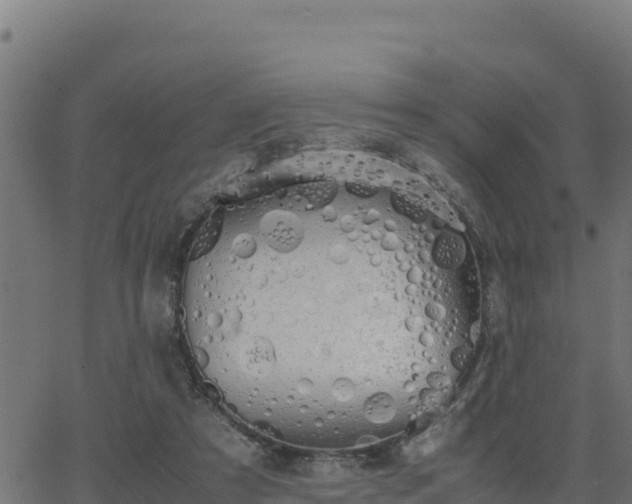 X0000062880305200601171454