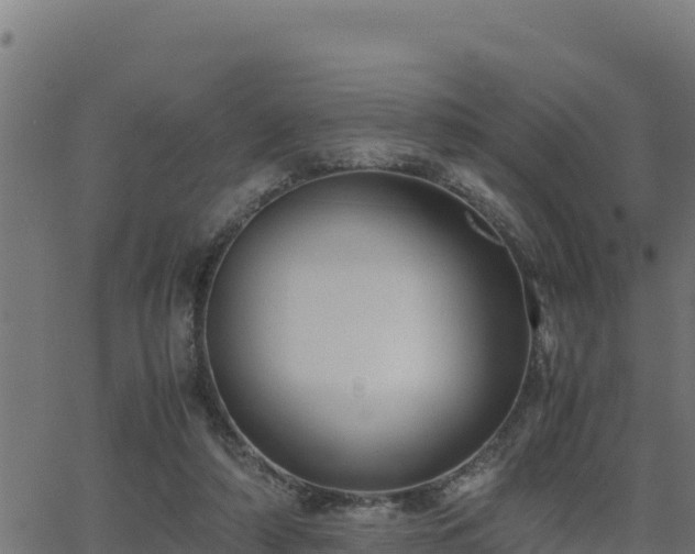 X0000062880306200601171454