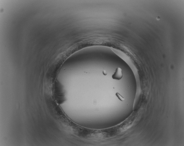 X0000062880307200601171454