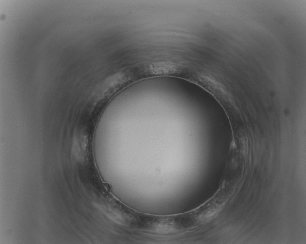 X0000062880308200601171454