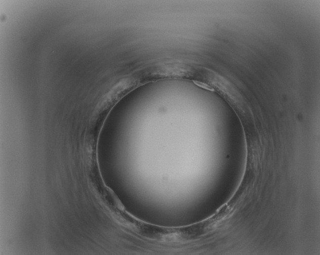 X0000062880309200601171454