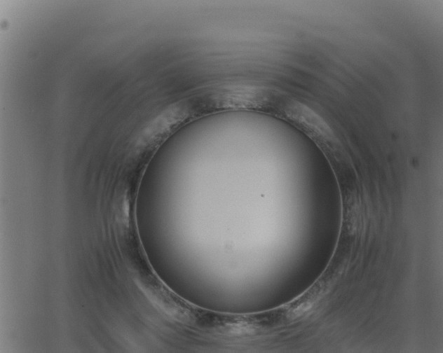 X0000062880310200601171454