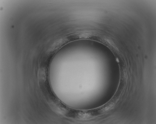 X0000062880311200601171454