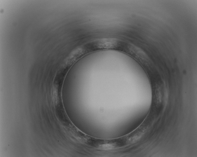 X0000062880312200601171454