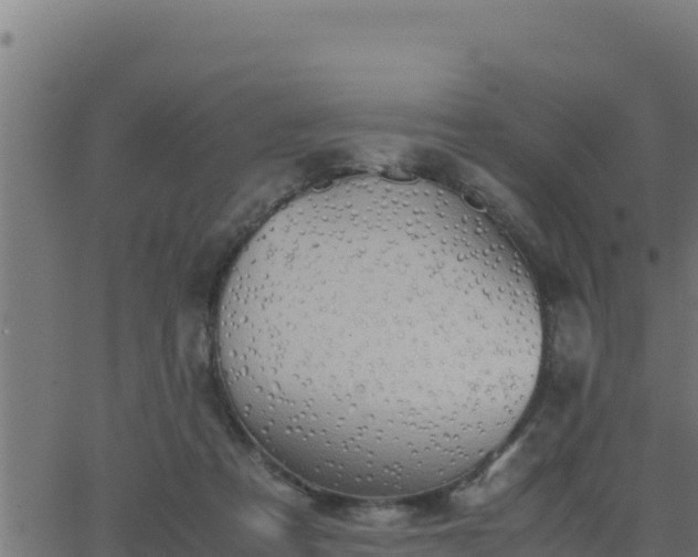 X0000062880313200601171454