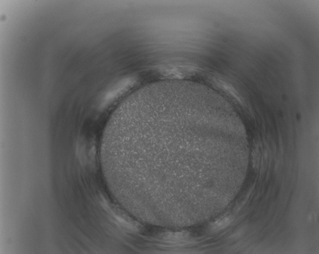 X0000062880314200601171454