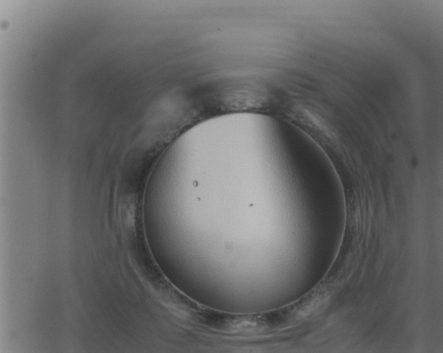 X0000062880315200601171454