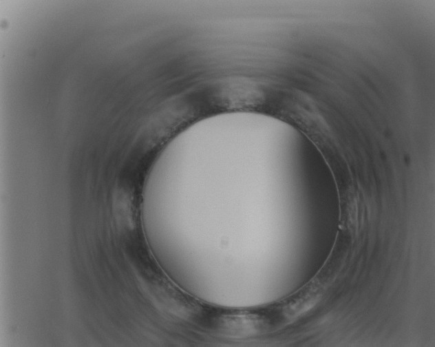 X0000062880316200601171454