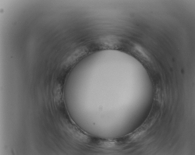 X0000062880318200601171454