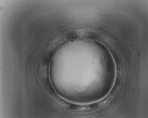 X0000062880319200601171454