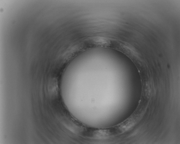 X0000062880320200601171454