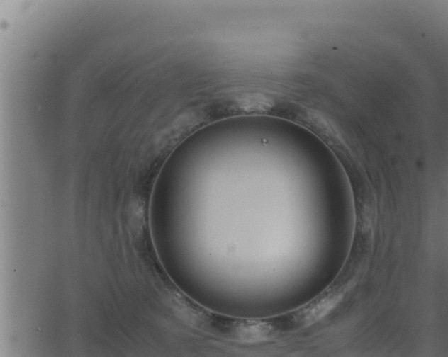 X0000062880321200601171454