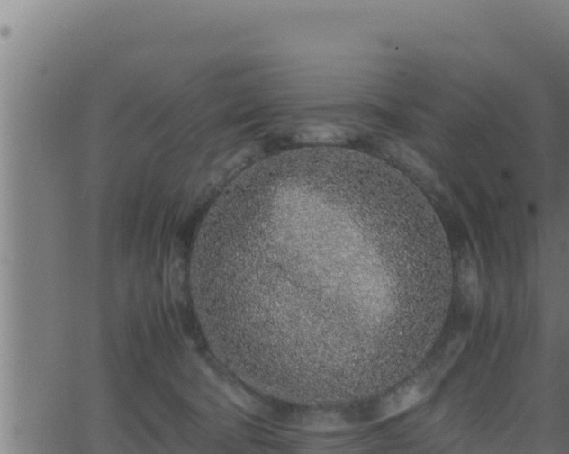 X0000062880322200601171454